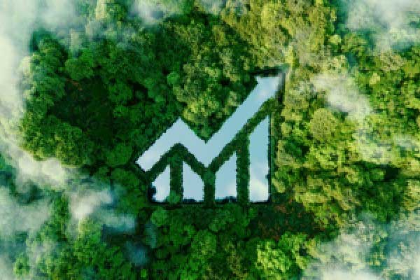 黄金还将继续闪耀？四位华尔街大佬给出乐观预测