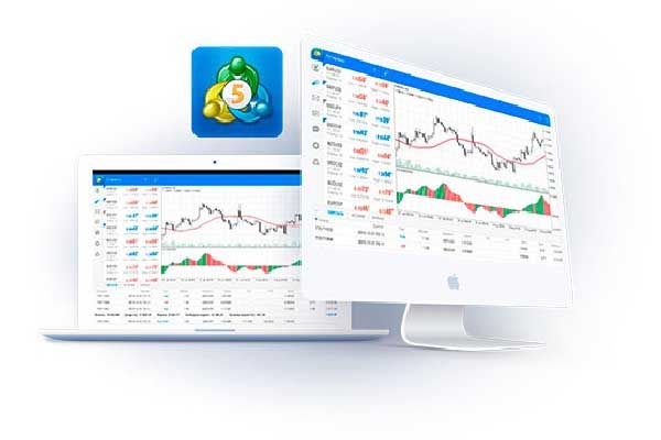 陈震首次还原撞车事件：过于信赖辅助驾驶，在驾驶中低头捡拾物品，导致事故发生